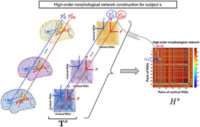 Unsupervised Manifold Learning Using High-Order Morphological Brain Networks Derived From T1-w MRI for Autism Diagnosis